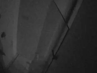 Voyeurcam-casa-salsa-bathroom-7  live sex cam