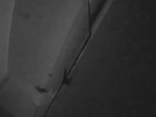 Voyeurcam-casa-salsa-bathroom-7  live sex cam