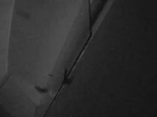 Voyeurcam-casa-salsa-bathroom-7  live sex cam