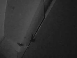 Voyeurcam-casa-salsa-bathroom-7  live sex cam