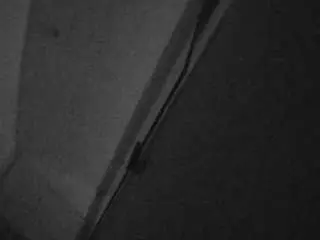Voyeurcam-casa-salsa-bathroom-7  live sex cam