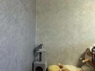 Mikabraskey  live sex cam