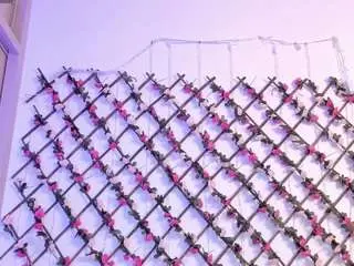 Naughtyebonyy  live sex cam