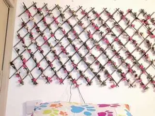 Naughtyebonyy  live sex cam