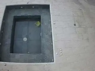 Voyeurcam-casa-salsa-hottub-view  live sex cam