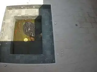 Voyeurcam-casa-salsa-hottub-view  live sex cam