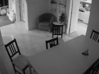 Voyeurcam-julmodels-dining  live sex cam