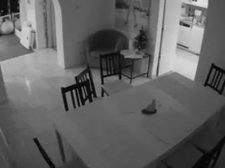 Voyeurcam-julmodels-dining  live sex cam