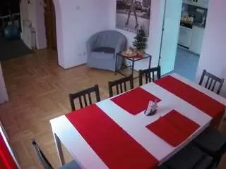 Voyeurcam-julmodels-dining  live sex cam