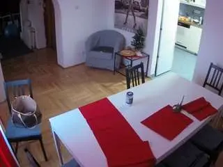 Voyeurcam-julmodels-dining  live sex cam