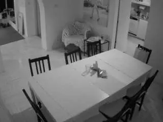 Voyeurcam-julmodels-dining  live sex cam