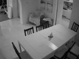 Voyeurcam-julmodels-dining  live sex cam