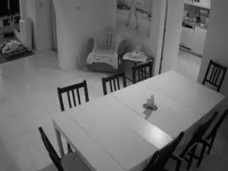 Voyeurcam-julmodels-dining  live sex cam