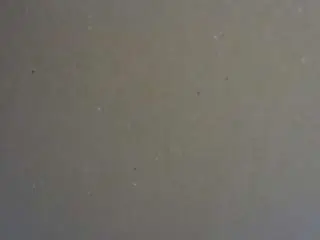 Voyeurcam-jb-bondage  live sex cam