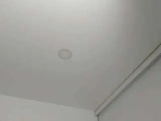 Charlotte-tillerx  live sex cam
