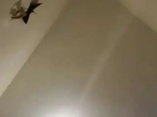 Mell25lilith  live sex cam