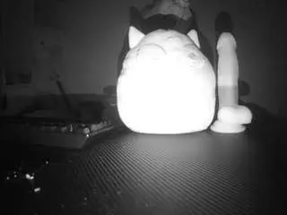 Voyeurcam-sexy-little-ana-01  live sex cam