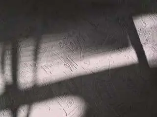 Nerissaferracioli  live sex cam