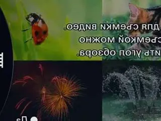 Reitaseacat  live sex cam