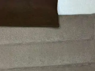 Lynettedollins  live sex cam