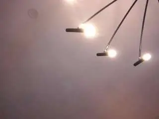 Augustabuisson  live sex cam