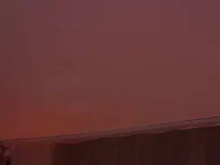 Wilheminamorisey  live sex cam