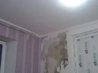 Lanabel  live sex cam