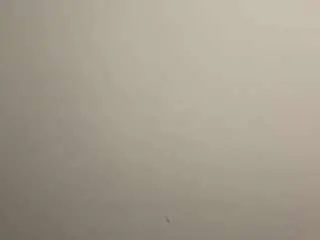 Aureadismore  live sex cam