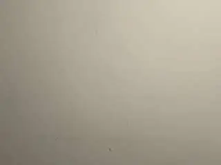 Aureadismore  live sex cam