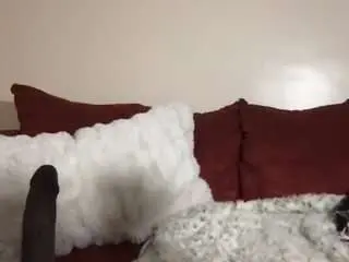 Heluvsbabii  live sex cam