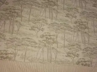 Celestinechakkalakal  live sex cam