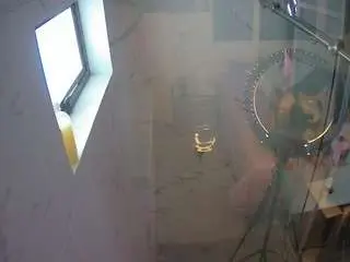 Voyeurcam-casa-salsa-bathroom-13  live sex cam