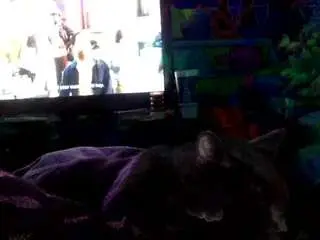 Justdelight  live sex cam