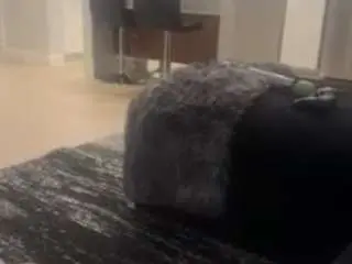Nicole627  live sex cam