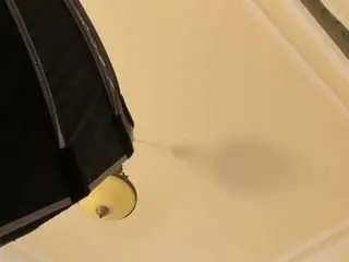 Laguber01  live sex cam