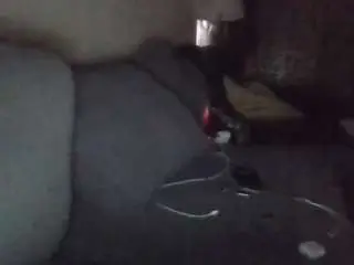 Stacytyler  live sex cam