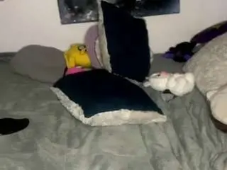 Violetanddante  live sex cam