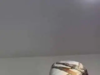 Carmelbunny  live sex cam