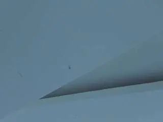 Madisson-miller1  live sex cam