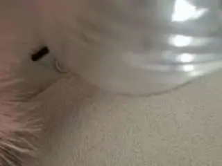 Melissah  live sex cam