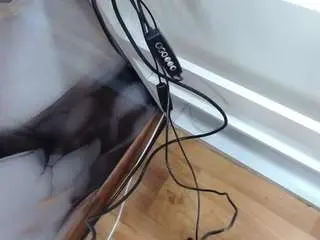Andry-will  live sex cam