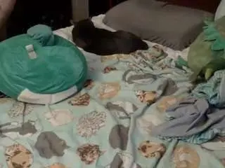 Lemontease69  live sex cam