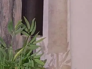 Playfullliaa1  live sex cam