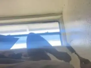 420wildcard  live sex cam