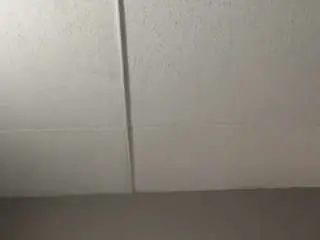Tiffanylee1  live sex cam