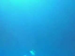 Miia-02  live sex cam