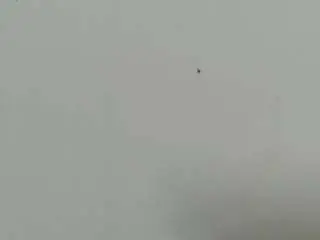 Lilybenet1  live sex cam