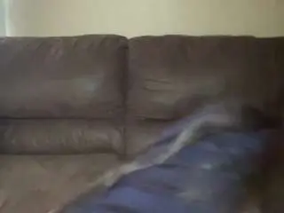 Sammyvxo  live sex cam