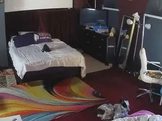 Voyeurcam-baileybase-room  live sex cam