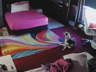 Voyeurcam-baileybase-room  live sex cam